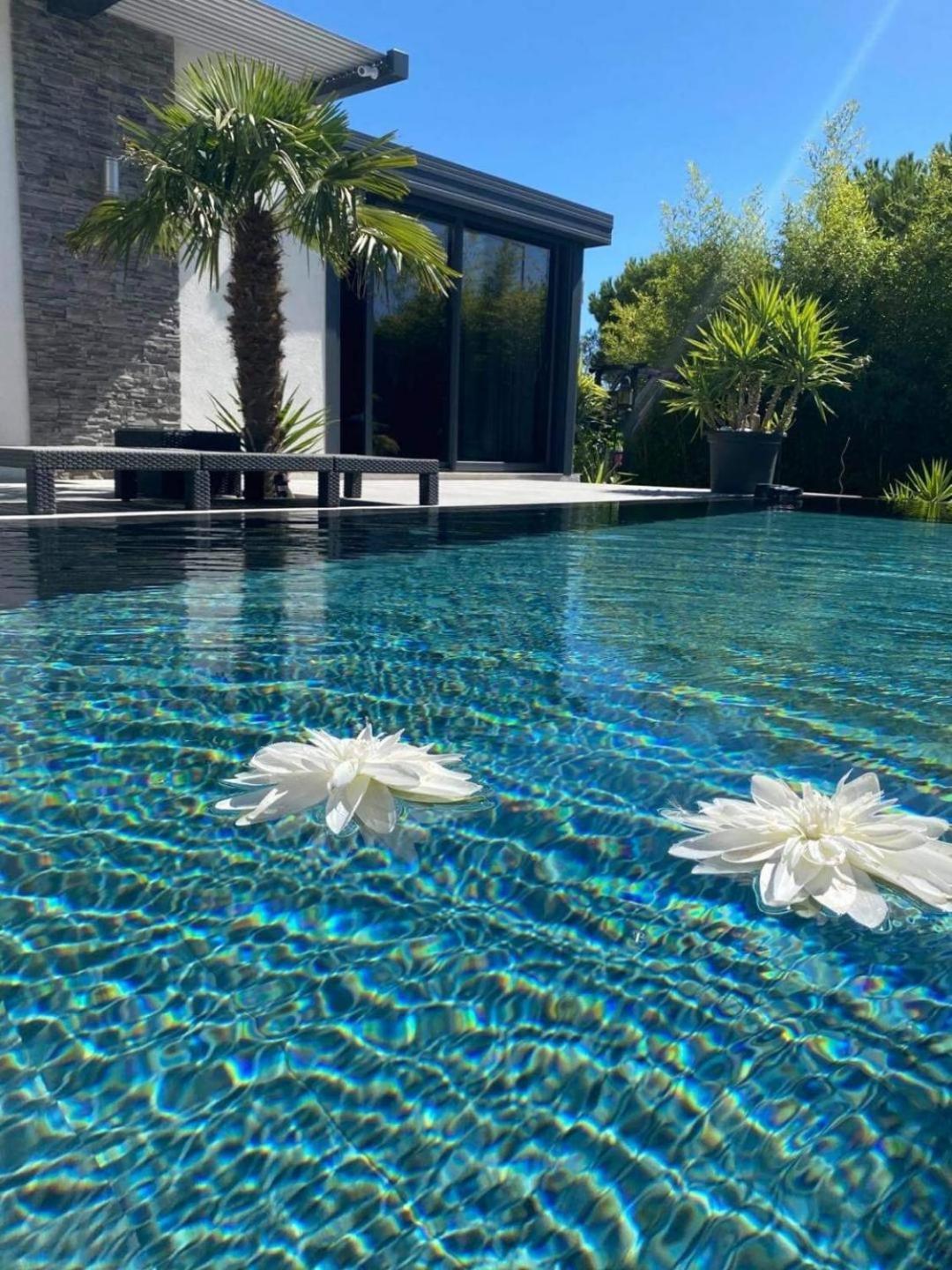 Bed and Breakfast Mon Petit Bali à Maussane-les-Alpilles Extérieur photo